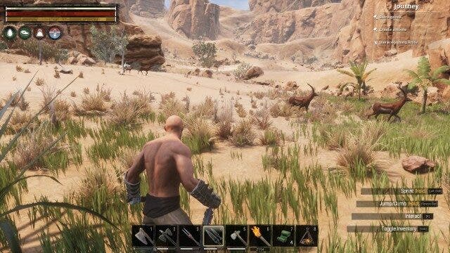 Which Animals Drop Exquisite Meat in Conan Exiles?